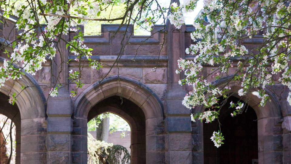 Murray-Dodge Hall arches with spring foliage