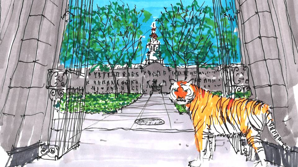Reunions 2022 cover art is a sketch done with highlighters showing a tiger in front of Nassau Hall