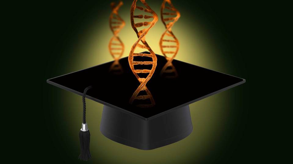dna structures and grad cap