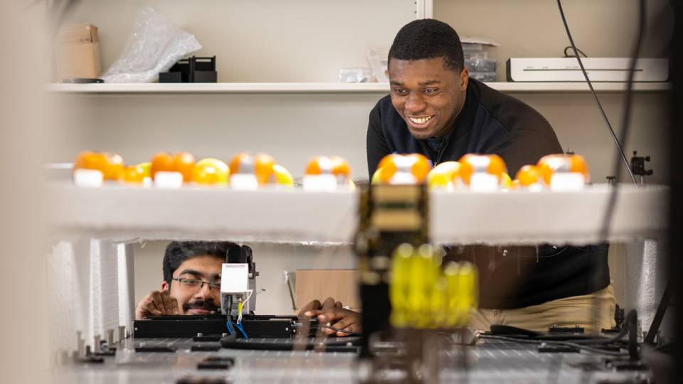 Researchers experimenting with fruits.