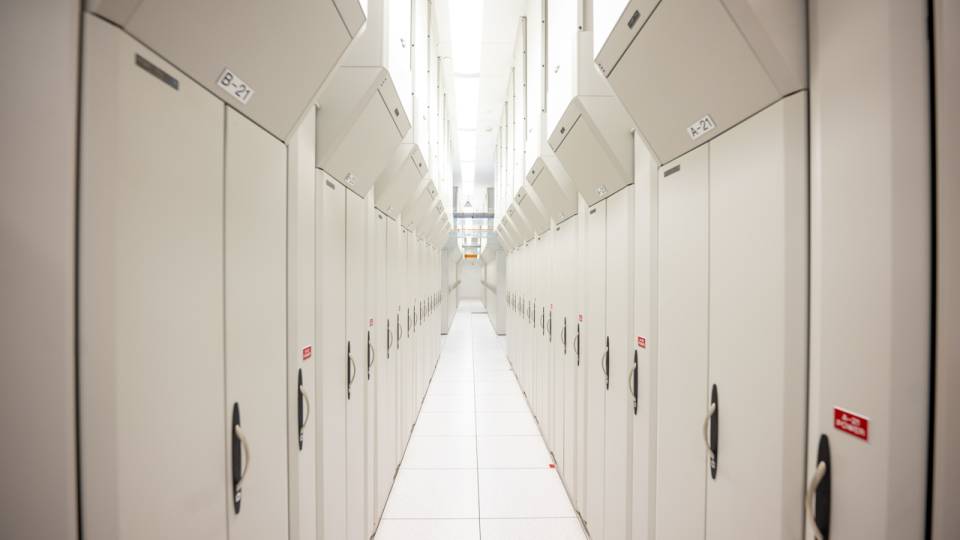 AI at Princeton: Pushing limits, accelerating discovery and serving ...