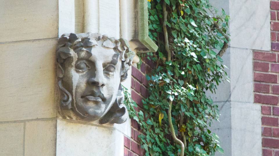 Ivy plant on wall next to a sculpture of a face