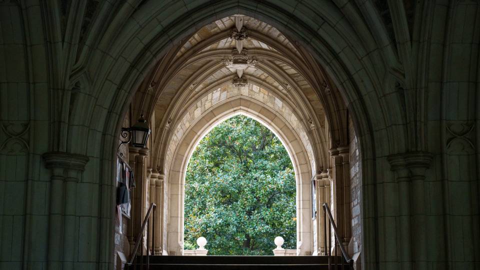Tree at the end of an arched tunnel on campus