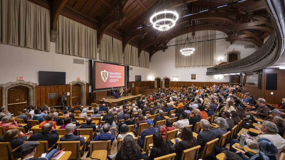 An Many Minds, Many Stripes conference attendees listen from their seats to speakers on stage.