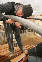 Larkin installing steel suspension cables