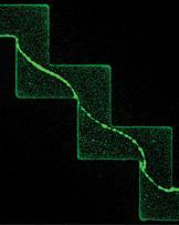 Research at Princeton index