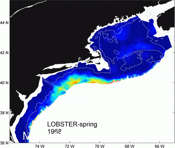 animation of lobster data showing 43 mile per decade migration