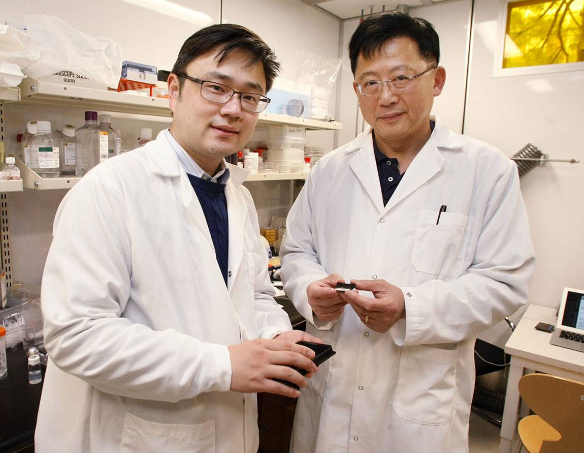 From left, Princeton researchers Liangcheng Zhou, an associate research scholar, and Stephen Chou, the Joseph C. Elgin Professor of Engineering, are collaborating with U.S. government labs to develop a more rapid, accurate and inexpensive test for the Ebola virus