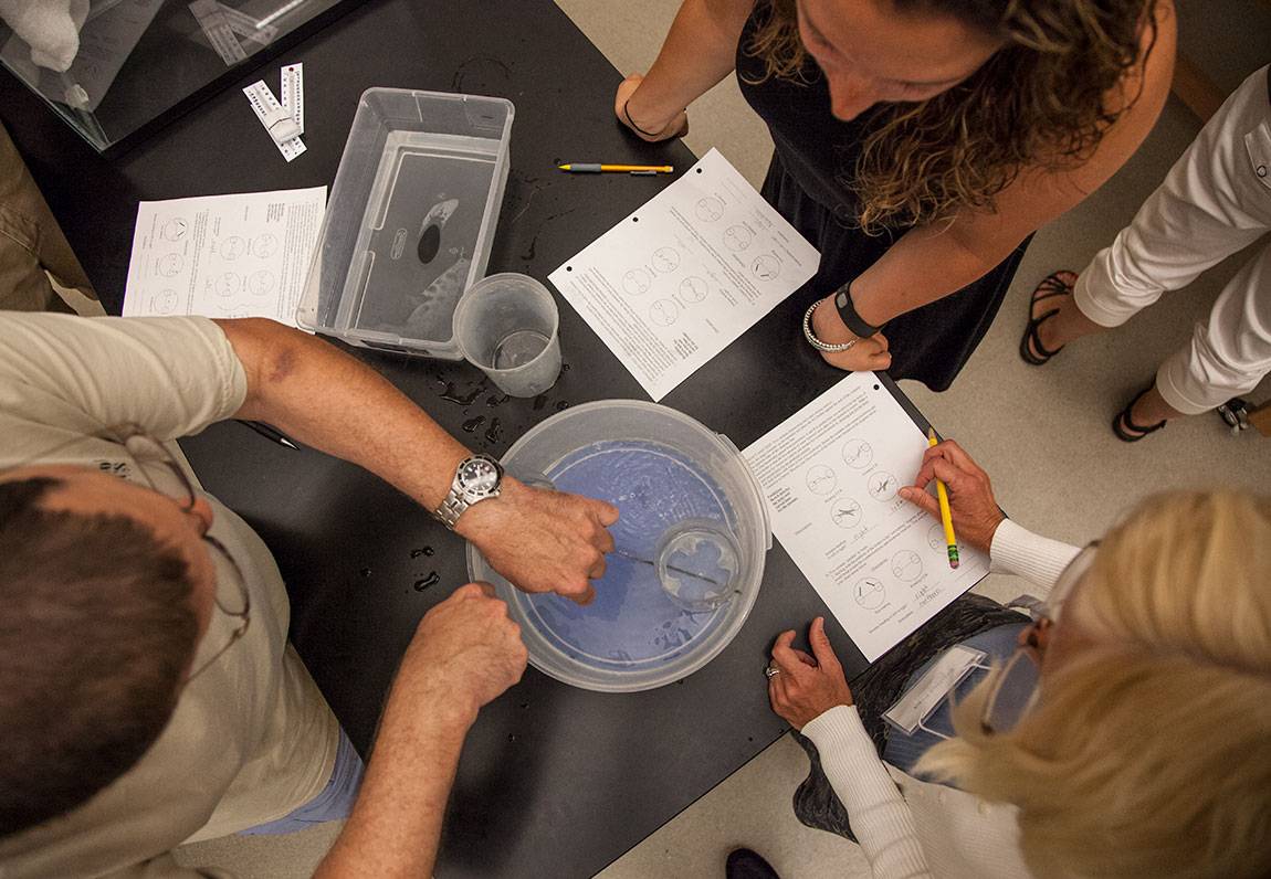 QUEST simulating Coriolis Effect