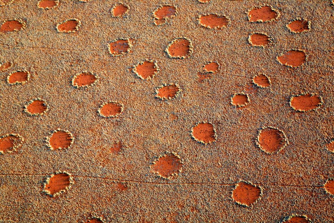 Fairy circles in Namibia
