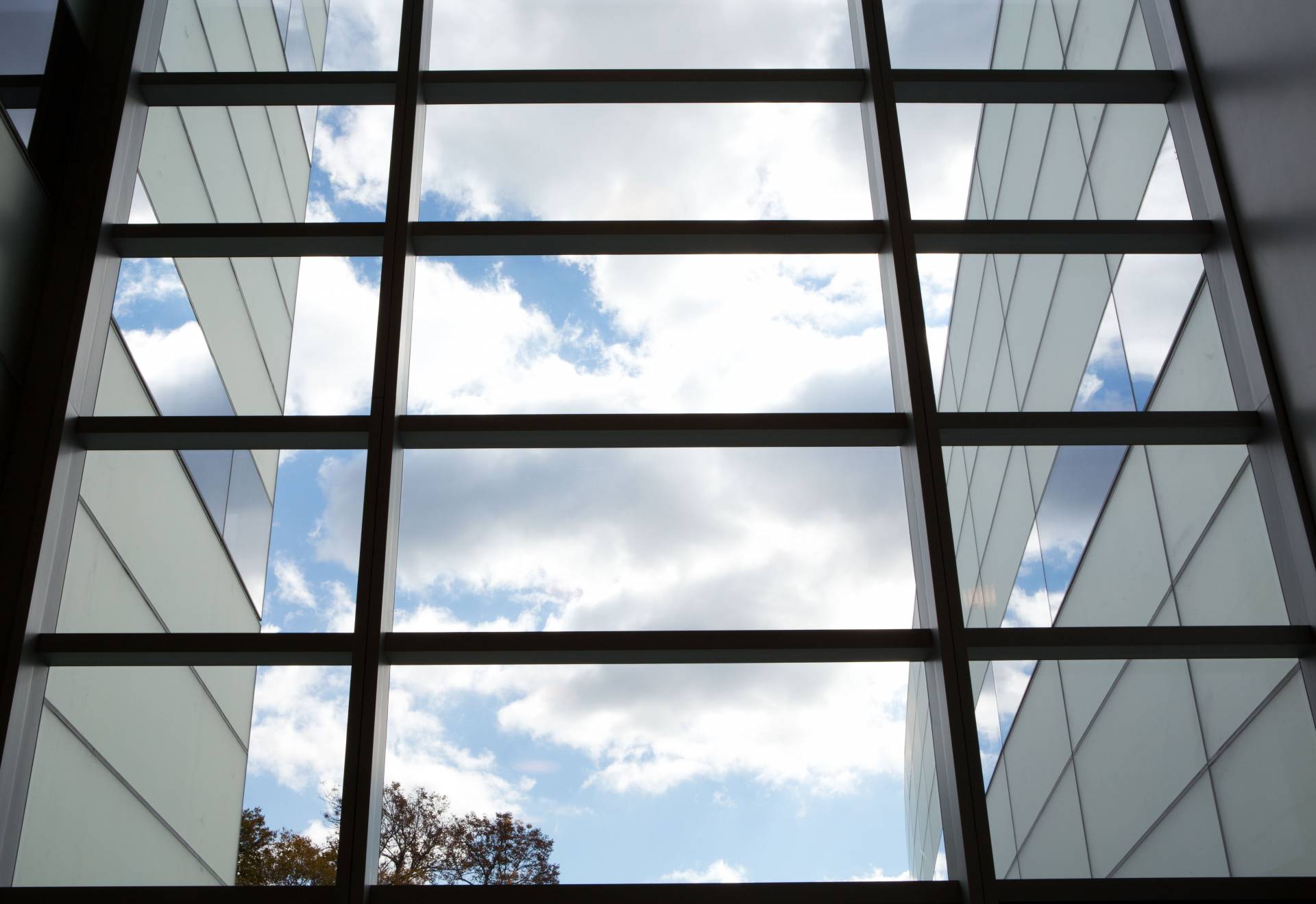 Photo of the sky as seen through windows of the Princeton neuroscience building.