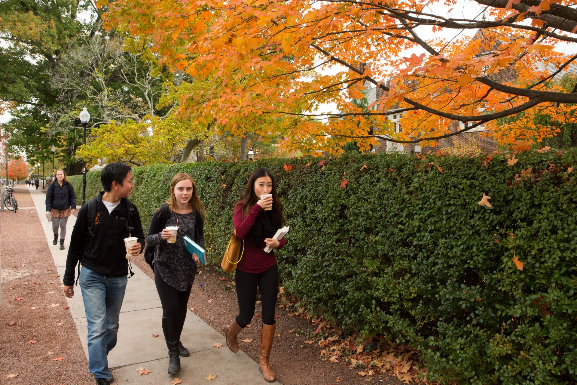 Photo of students walking on campus in fall