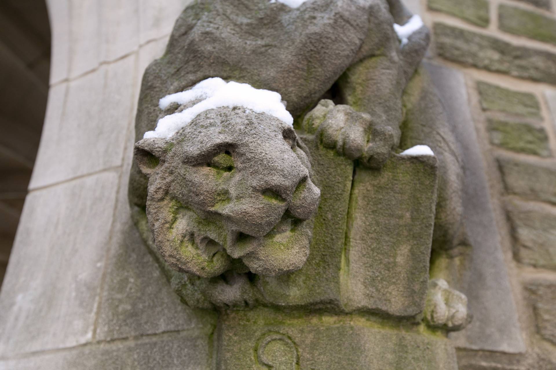 Tiger statue in snow