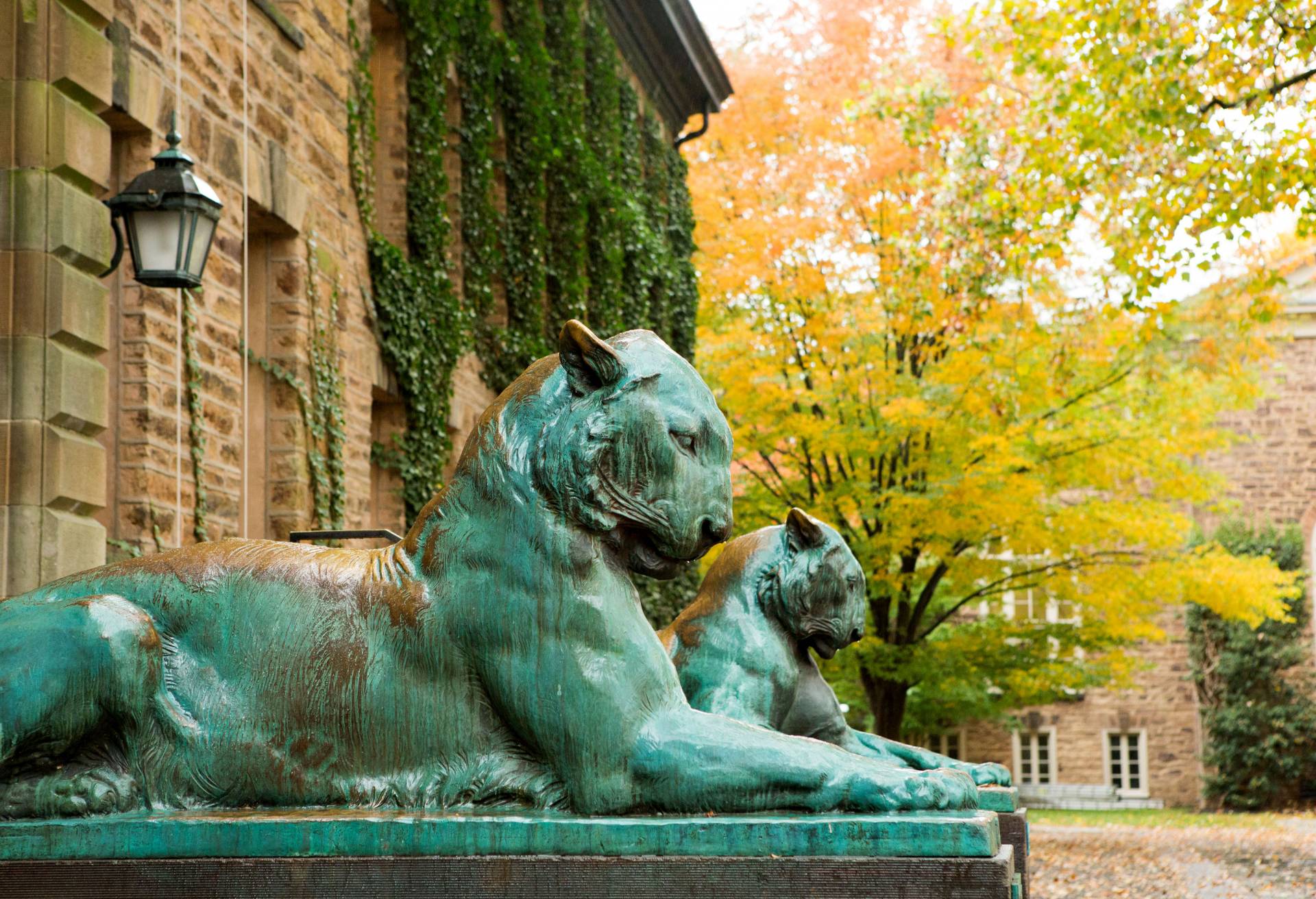 Bronze tigers outside Nassau Hall