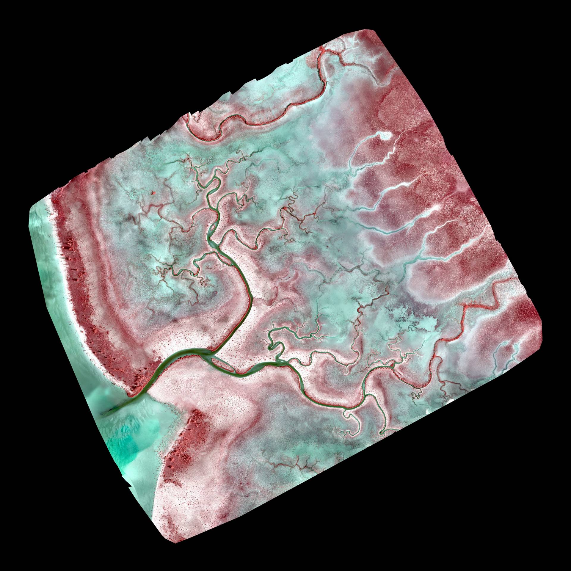 near-infrared orthomosaic of a birdfoot branching channel network