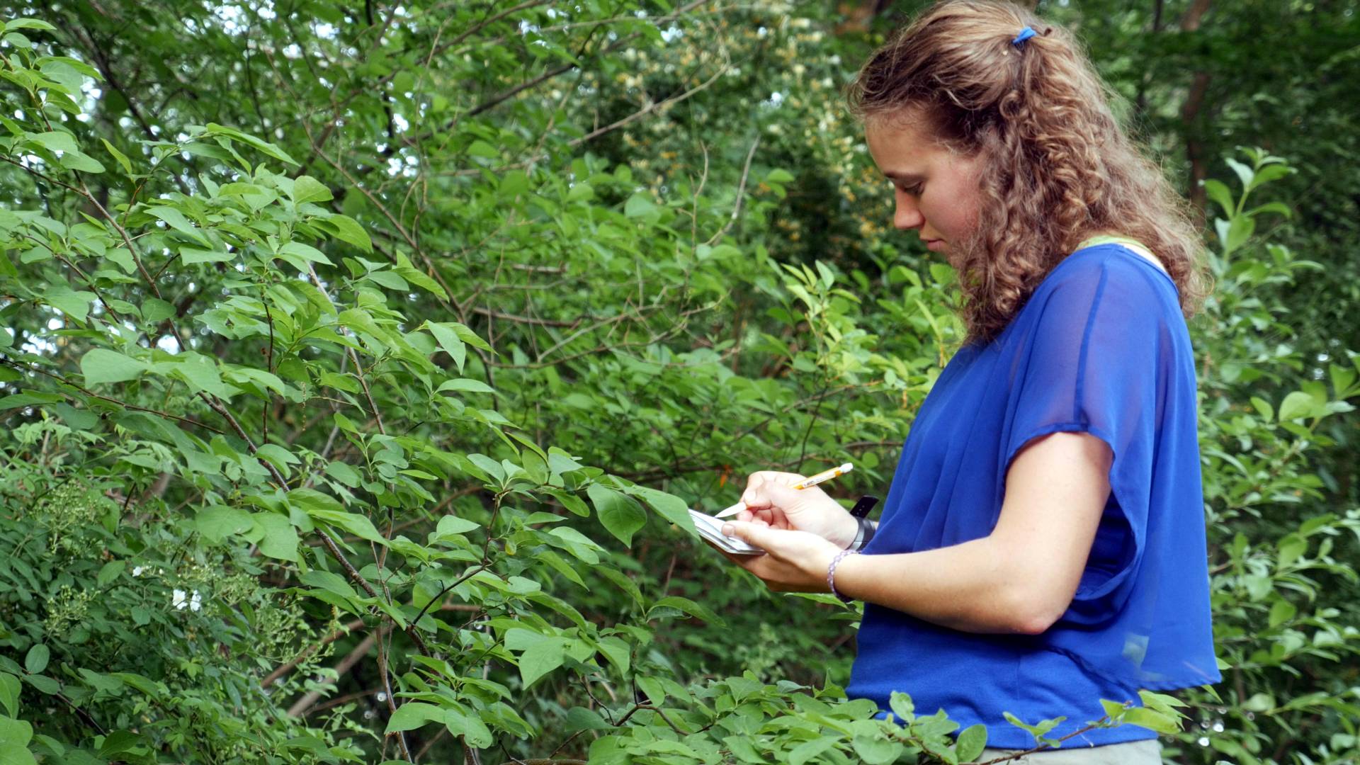 Artemis Eyster sketching a spicebush