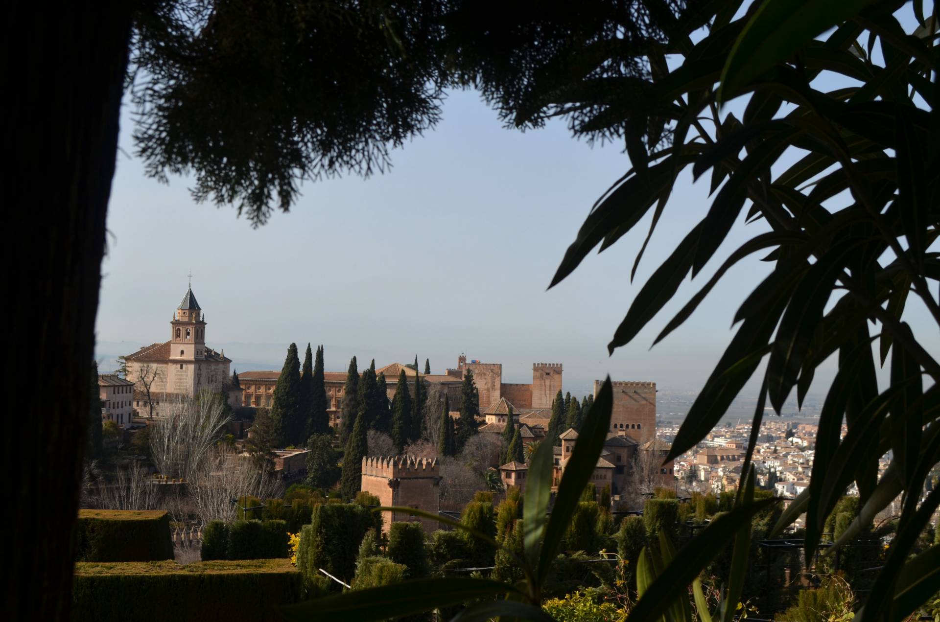 "Alhambra Through the Trees" (Granada, Spain)