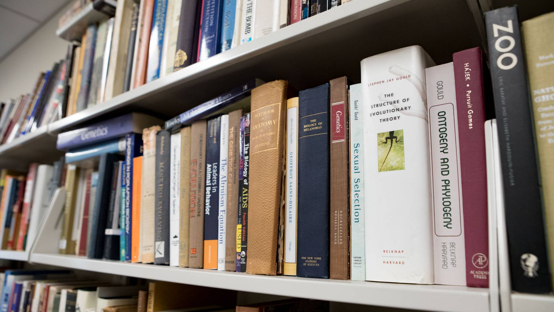 Books on Erika Milam's bookshelf