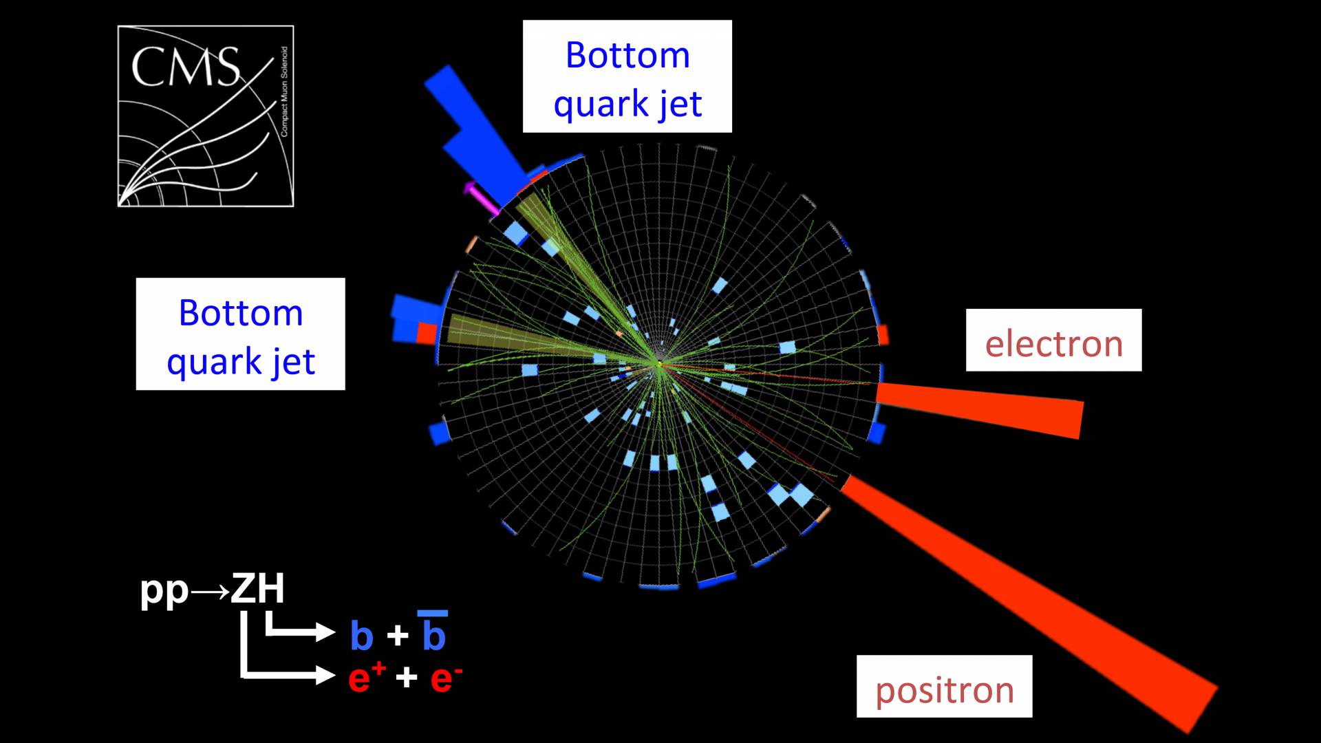 A graph showing the Higgs boson decaying