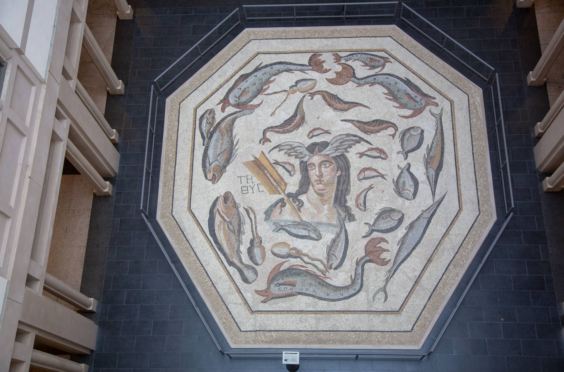 Aerial view of large mosaic at Harvard museum