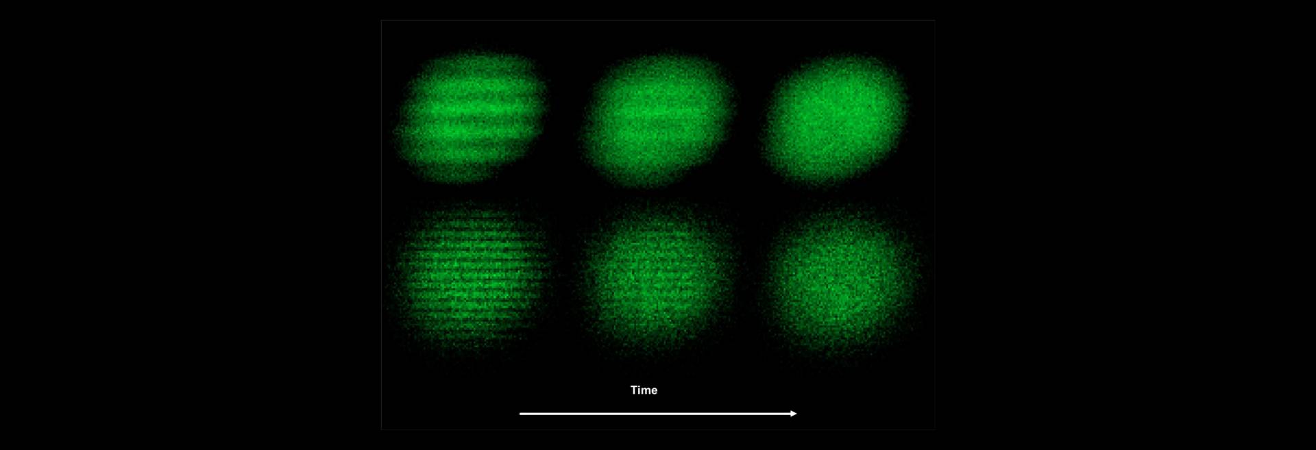 Green patterns of density waves through cold atoms