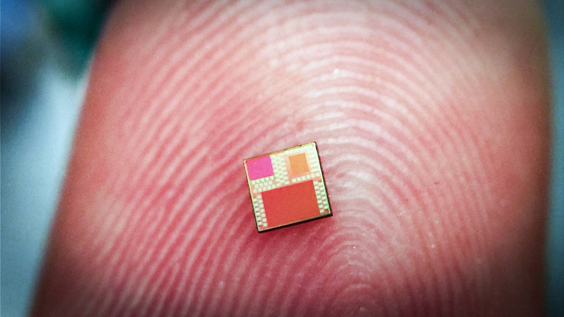 a silicon chip sits on a researcher's fingertip