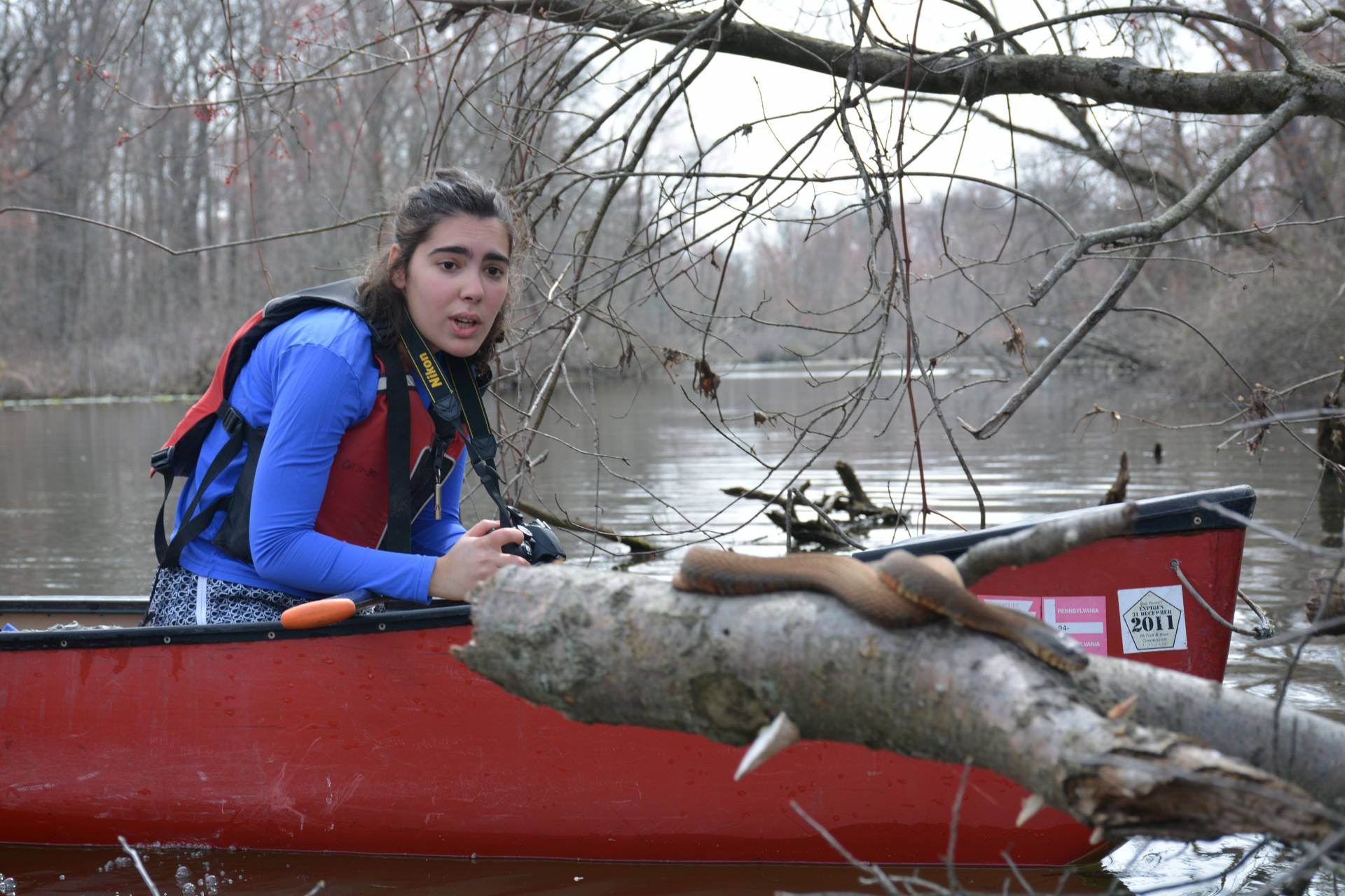 A student in a canoe encounters a snake on a branch