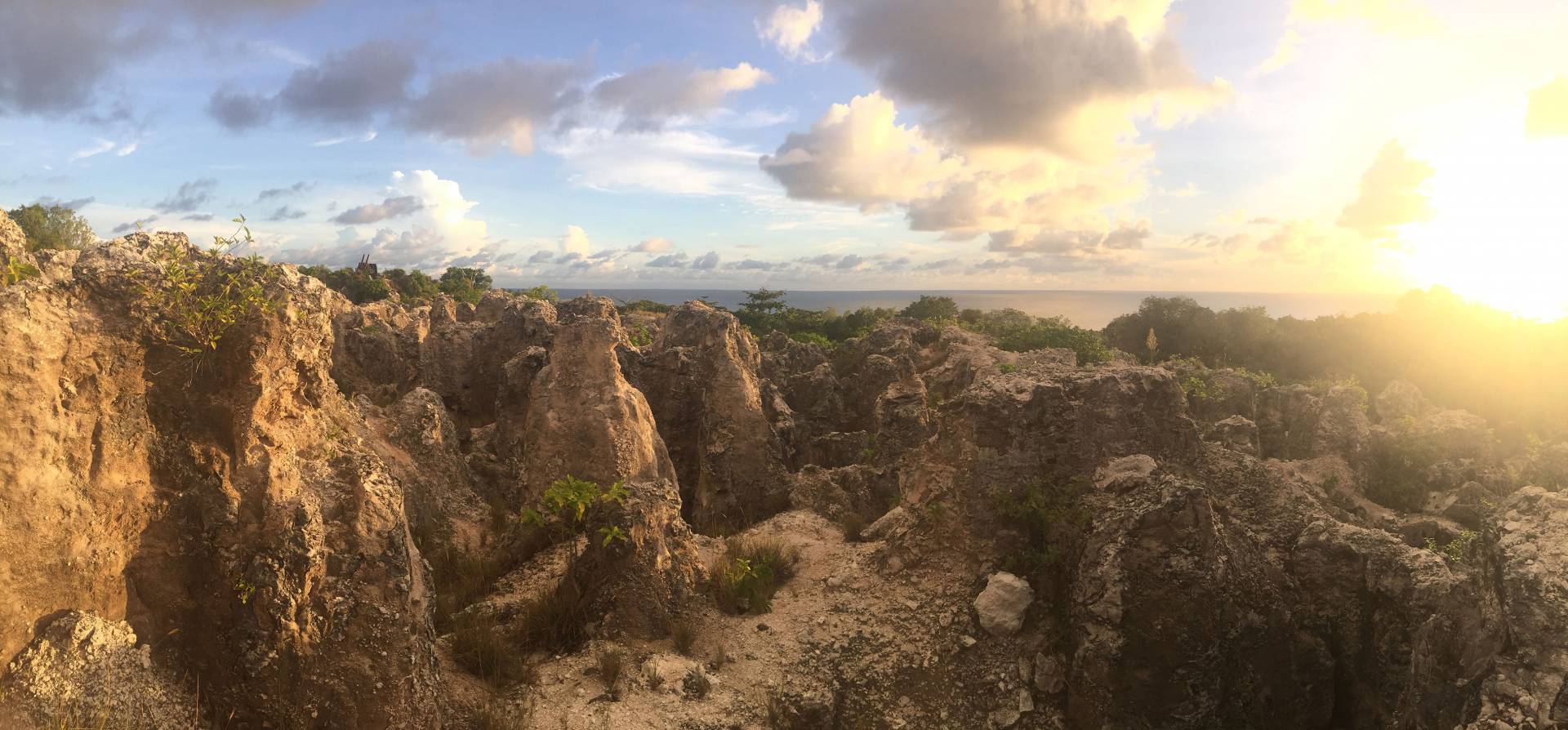 A blighted rocky landscape on Nauru