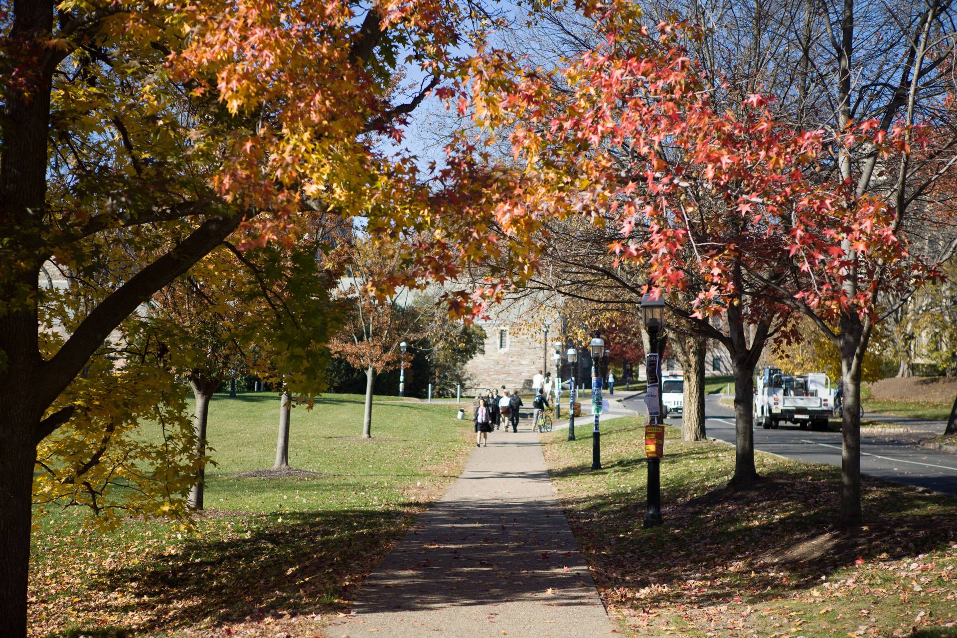 fall colors on campus