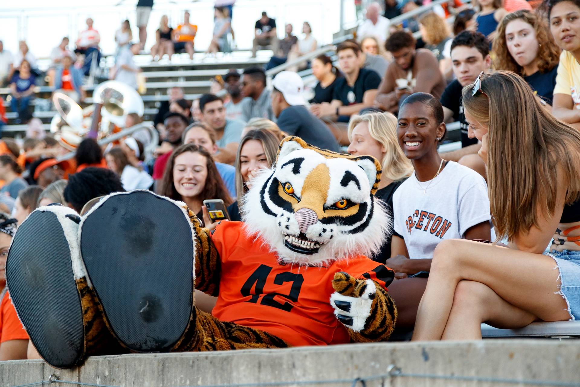 Tiger mascot hangs out with football fans