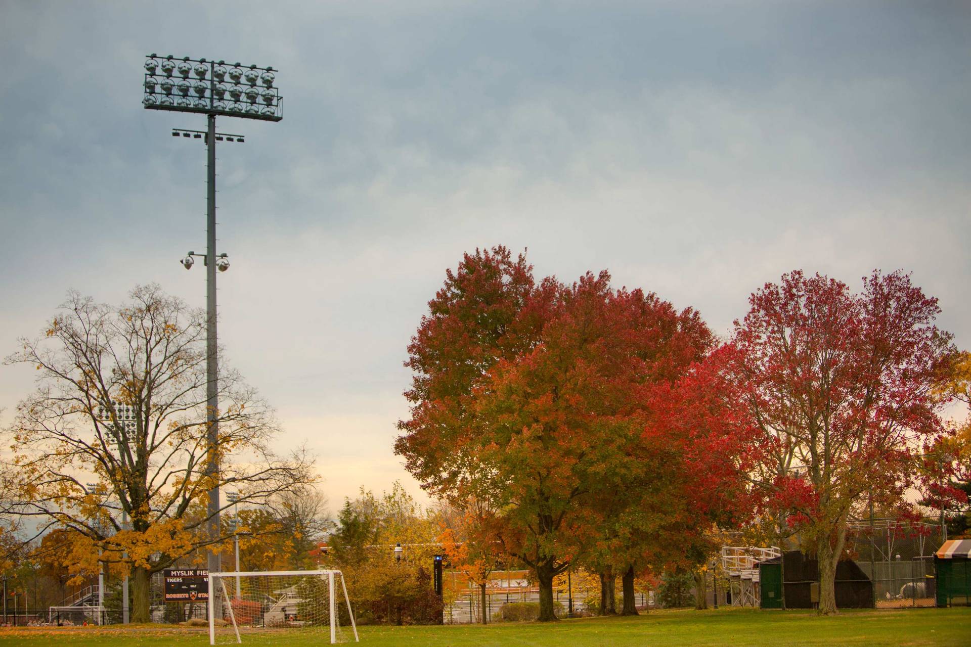 Trees turn color in golden twilight on the soccer field