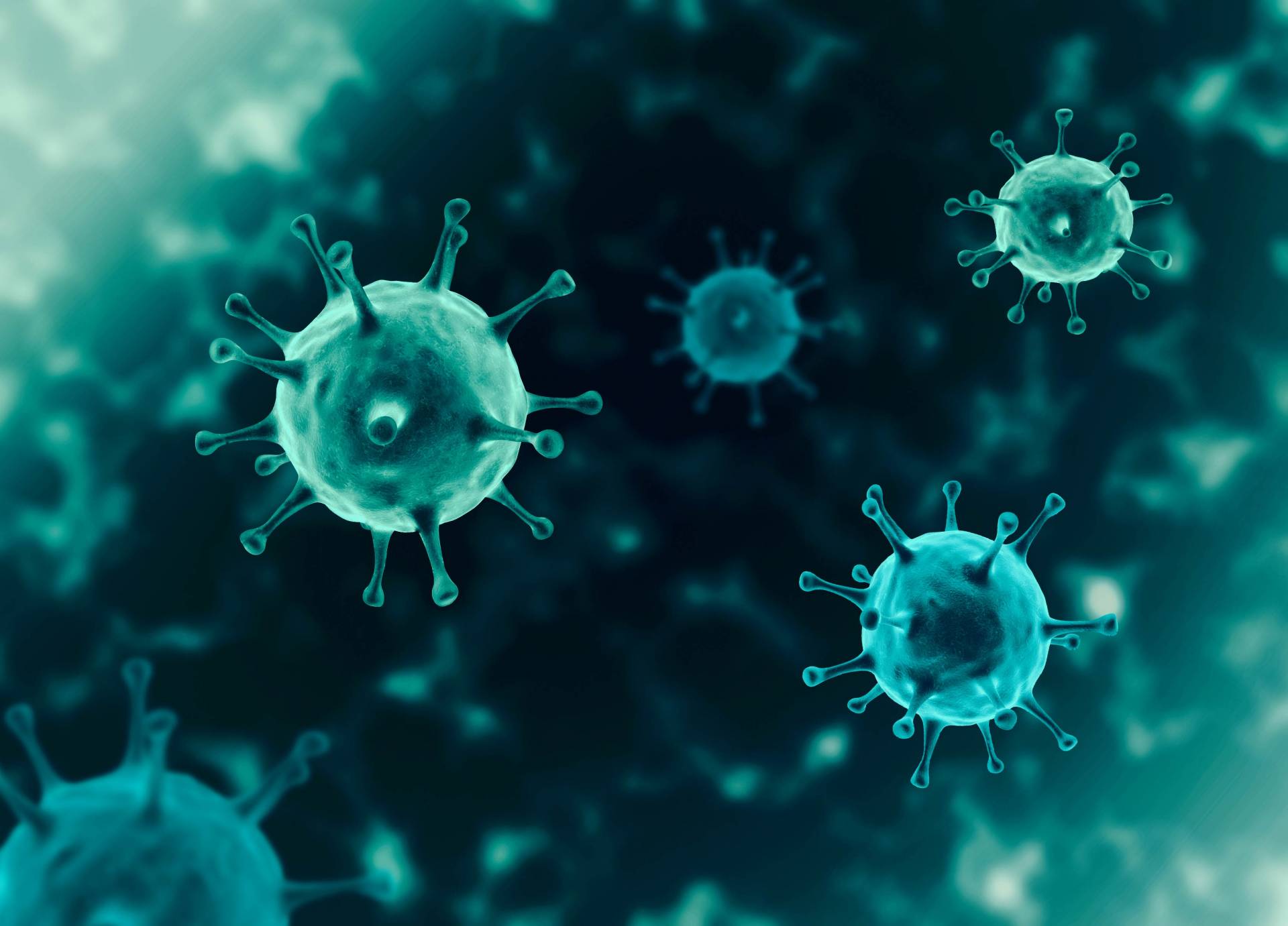 illustration of COVID19 viruses