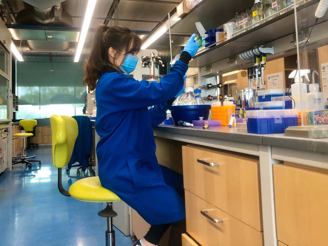 A researcher works in a laboratory