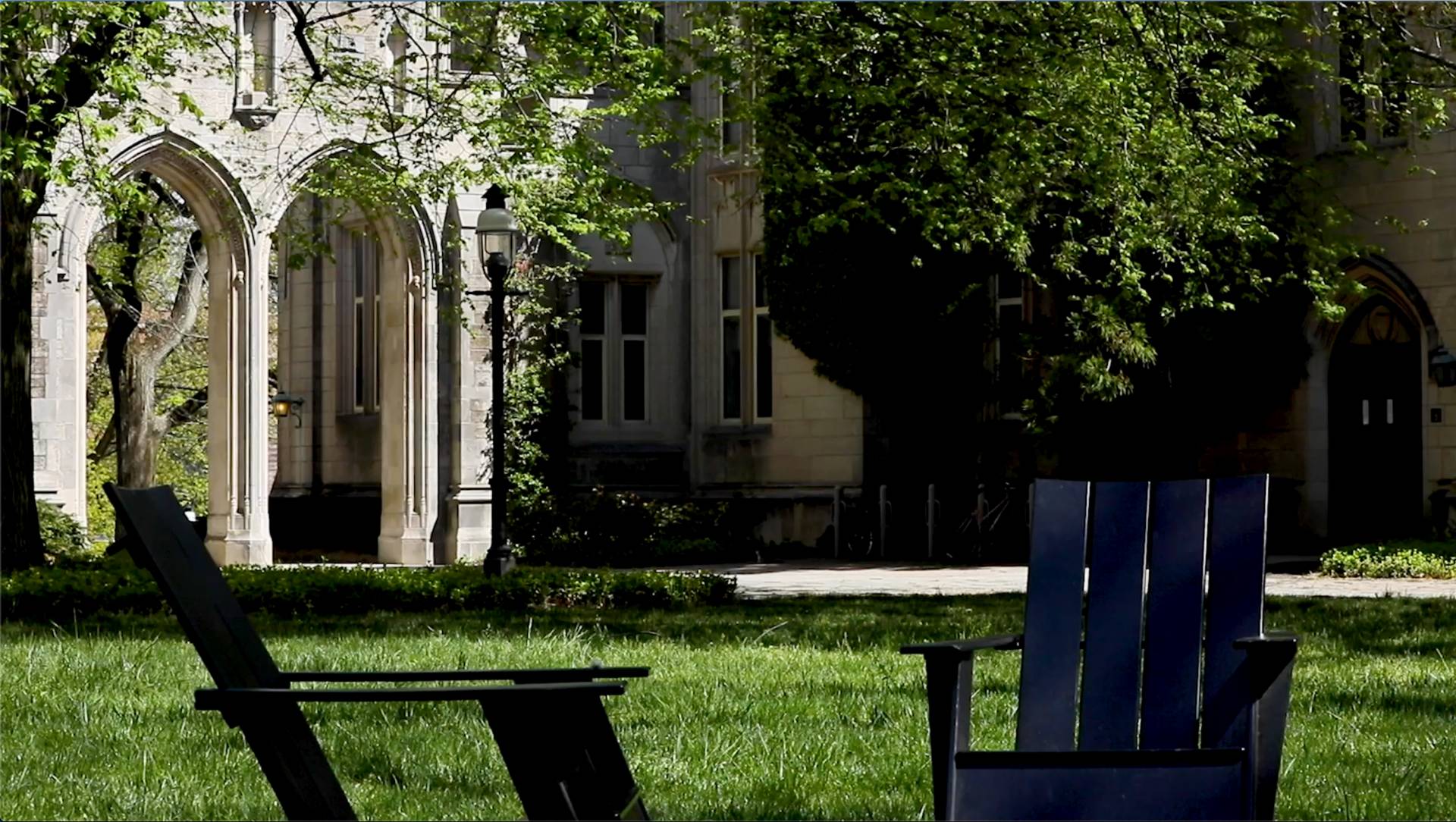 wind rustles the leaves on the trees on a sunny day on campus