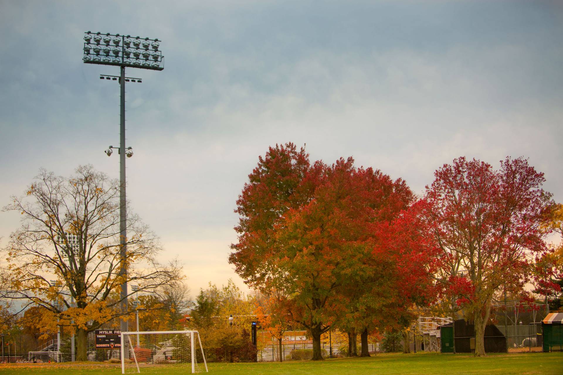 Fall foliage over the soccer pitch