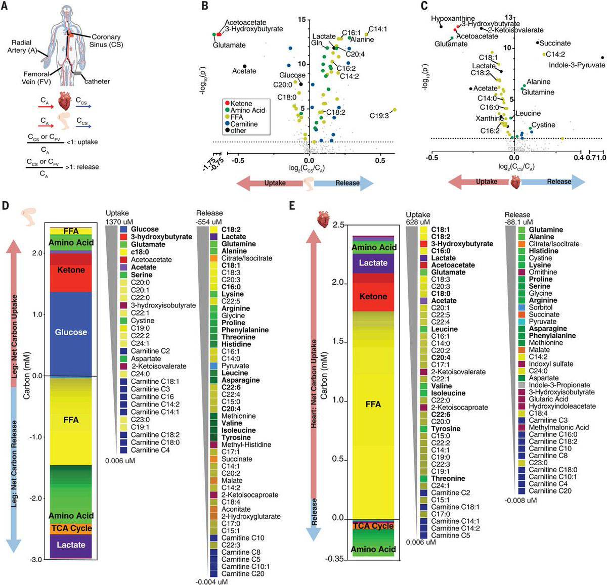 Complex graph showing the concentration of hundreds of metabolites in blood