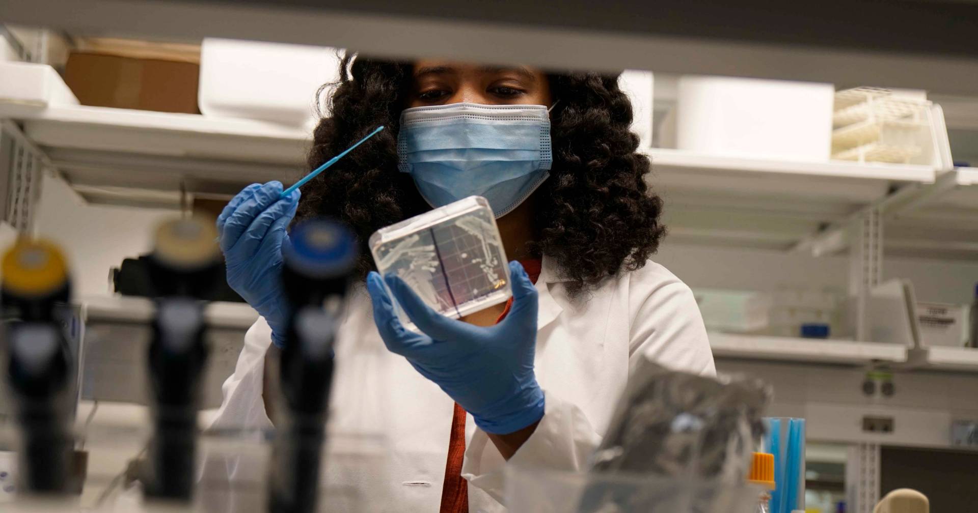 A graduate student works with a petri dish in a lab while wearing a mask and gloves