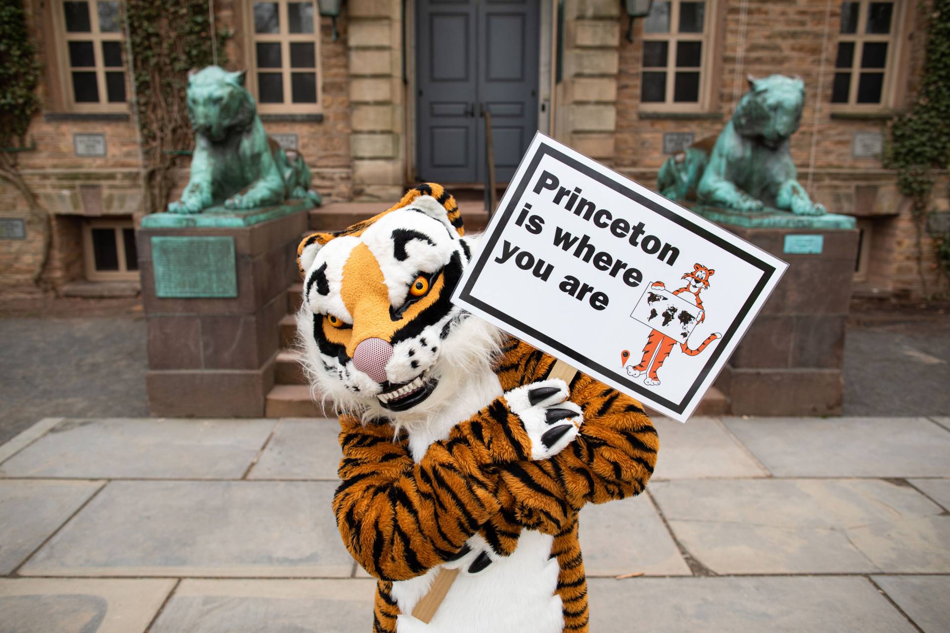 Tiger holding up a sign that reads, "Princeton is where you are."