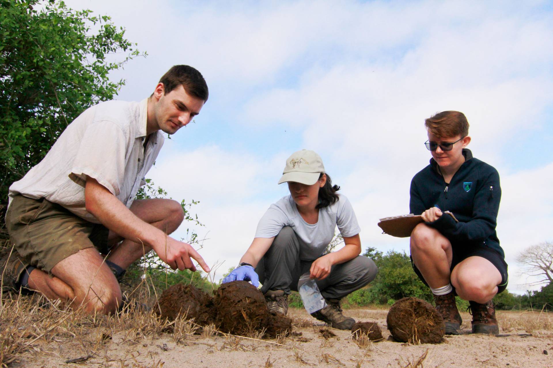 three people examine a pile on the ground