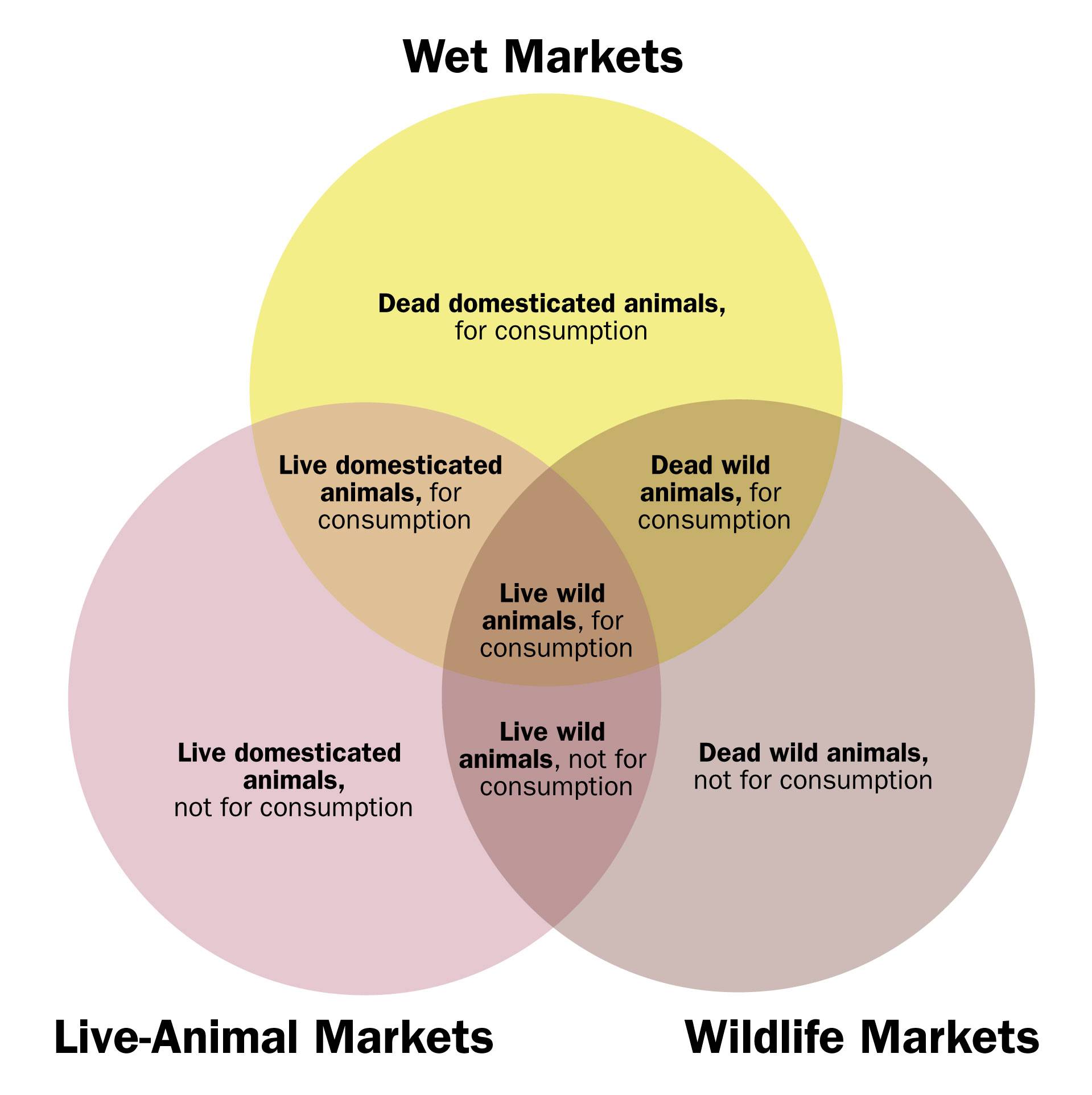 enn diagram illustrating the intersection between wet markets: dead domesticated animals for consumption; live animal markets (live domesticated animals, not for consumption; and wildlife markets, dead wild animals, not for consumption.