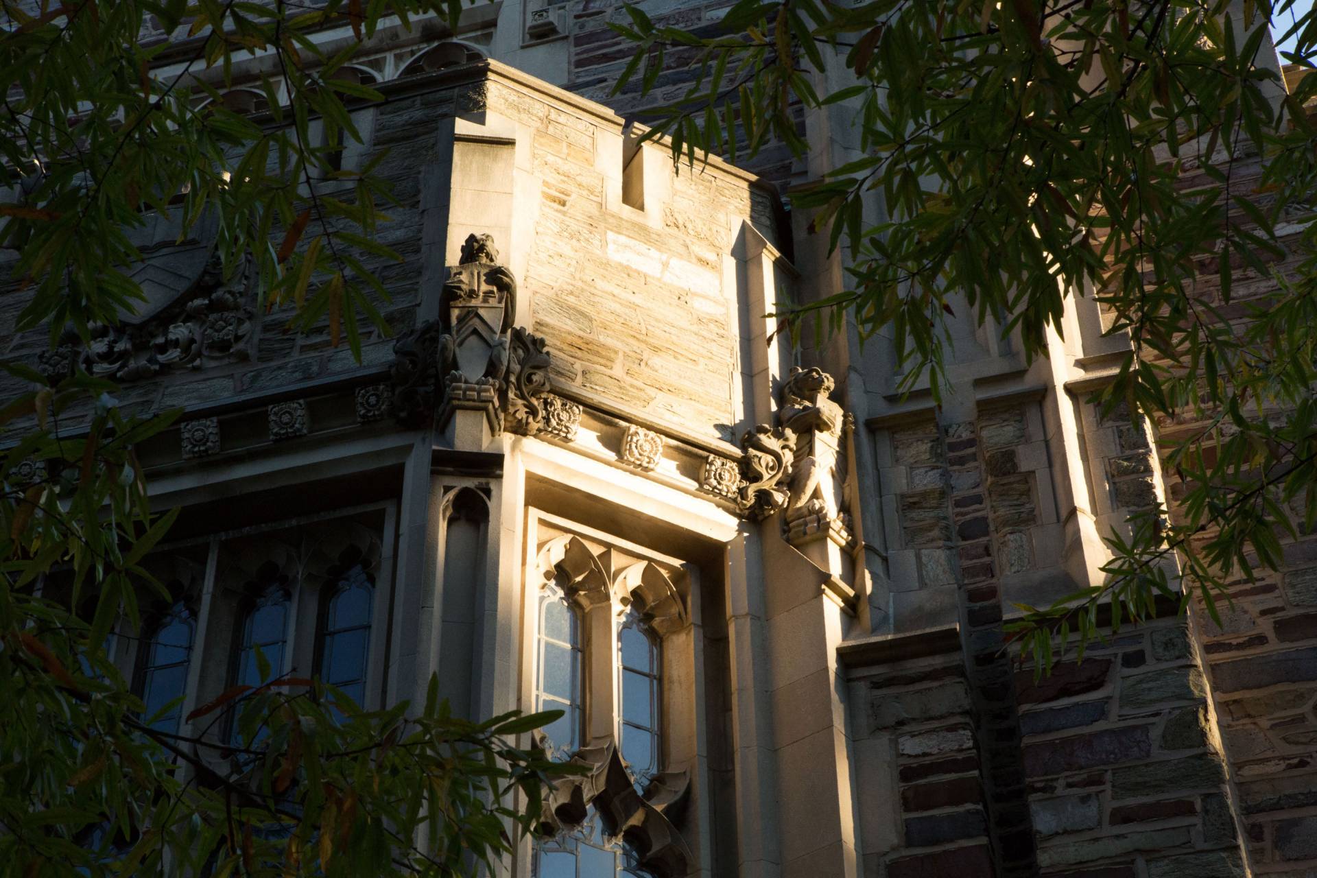 light falls on an architectural detail on the Chapel