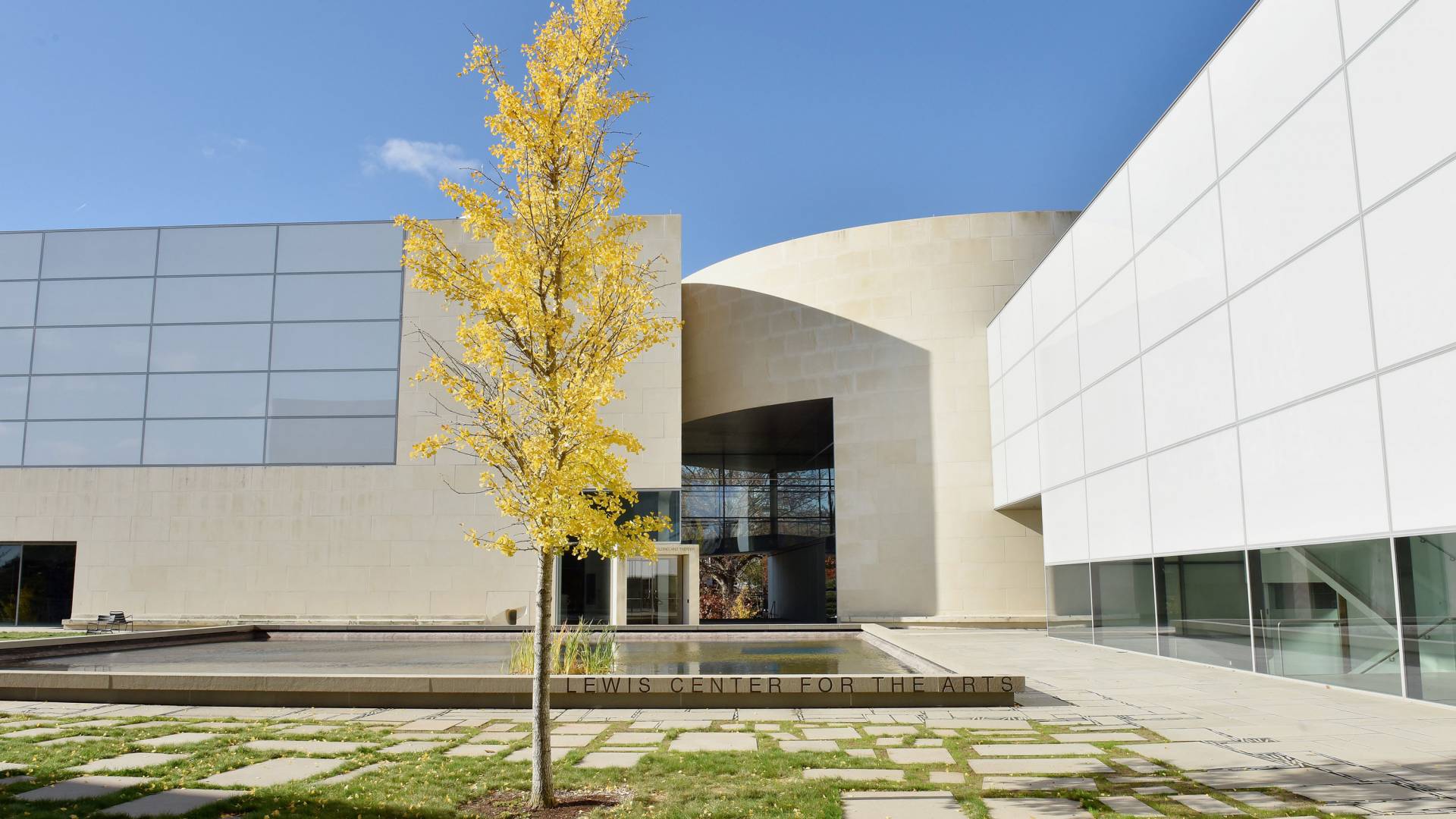 A sapling with bright yellow leaves in front of a Lewis Center for the Arts building