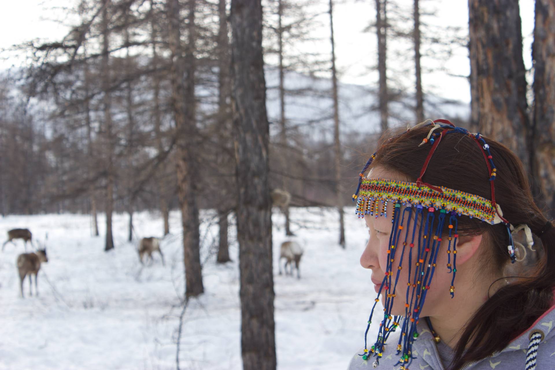 Olga Ulturgasheva looks at a reindeer herd in the distance