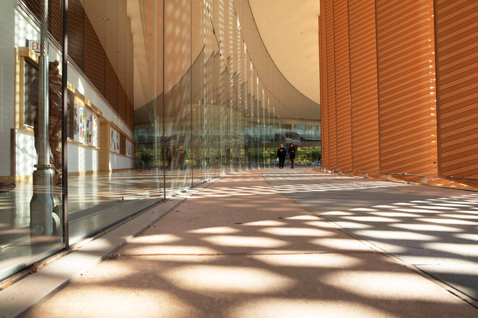 Sunlight filters through architectural elements on the Icahn building