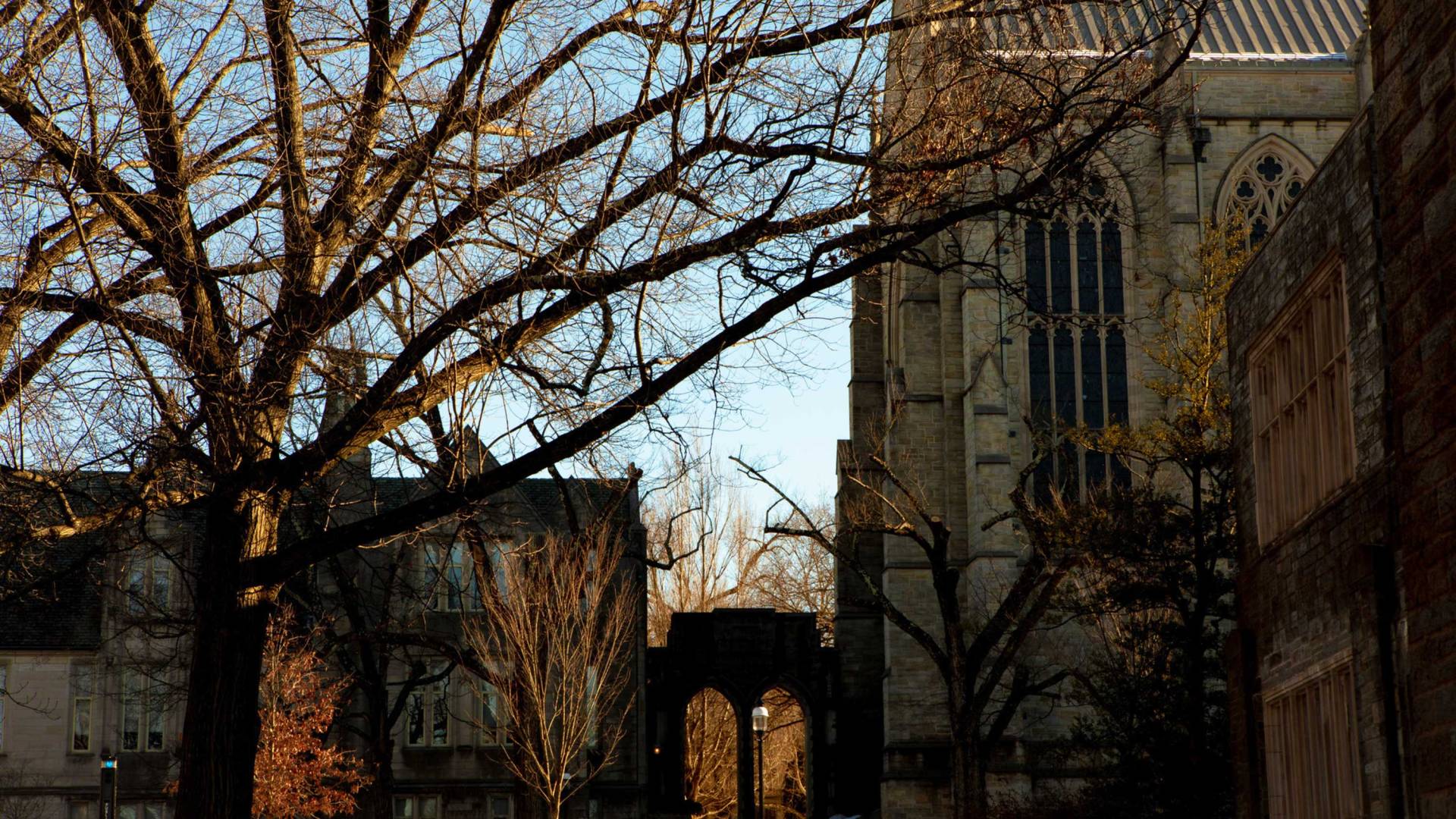 chapel and Firestone Library in the orange glow of dusk