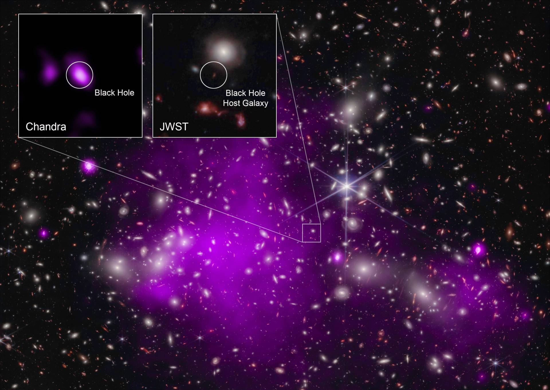 Section of space where a black hole and a black hole galaxy are labeled