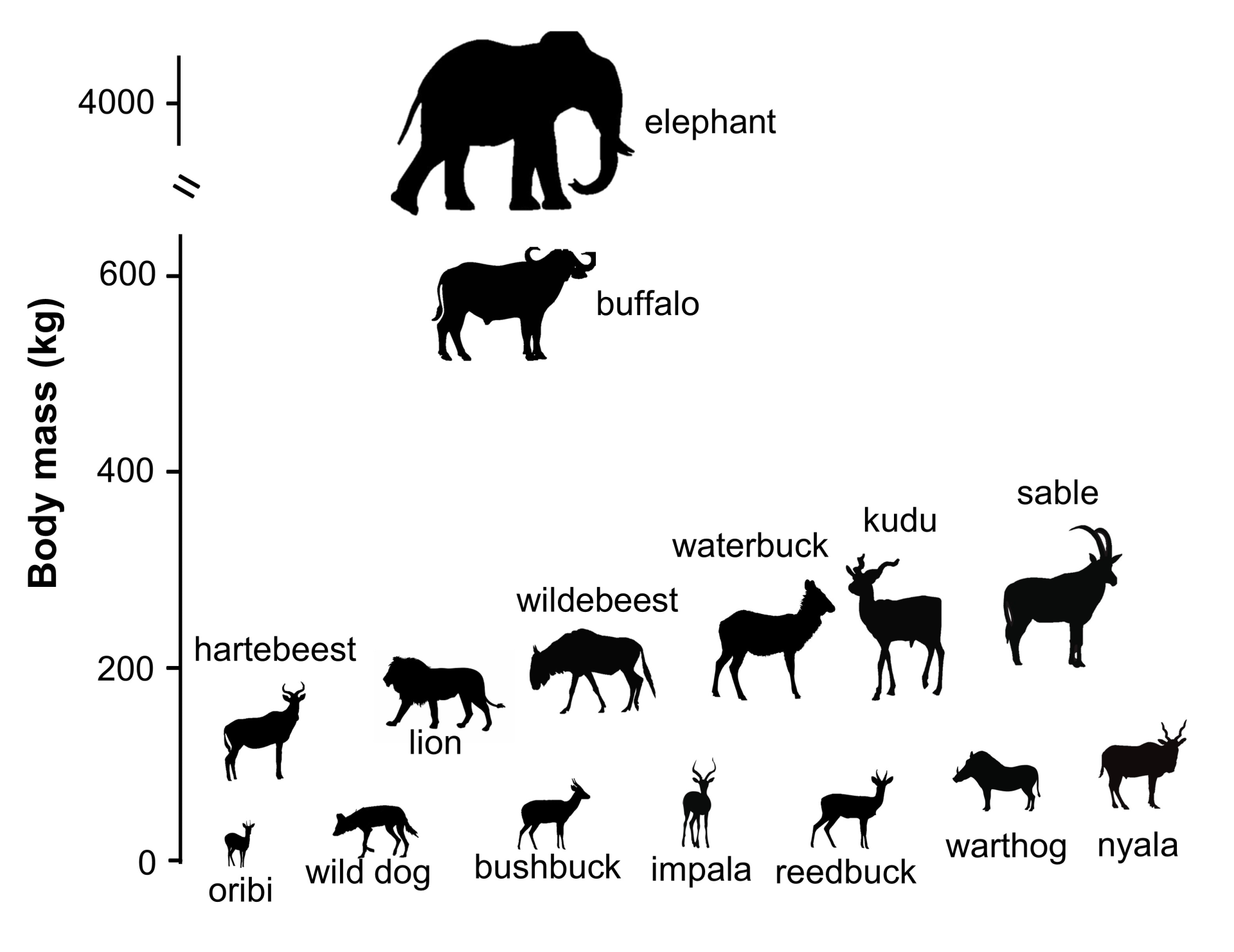 Mammals in the study arranged by size. From smallest to largest, they are oribi, wild dog, bushbuck, impala, reedbuck, warthog, nyala, hartebeest, lion, wildebeest, waterbuck, kudu, sable, buffalo and elephant.