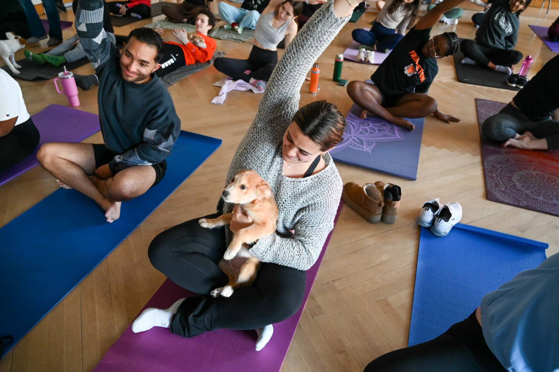 People doing yoga while holding puppies.