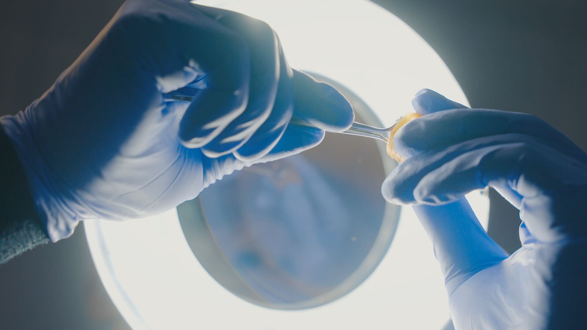 Please insert alt text here.