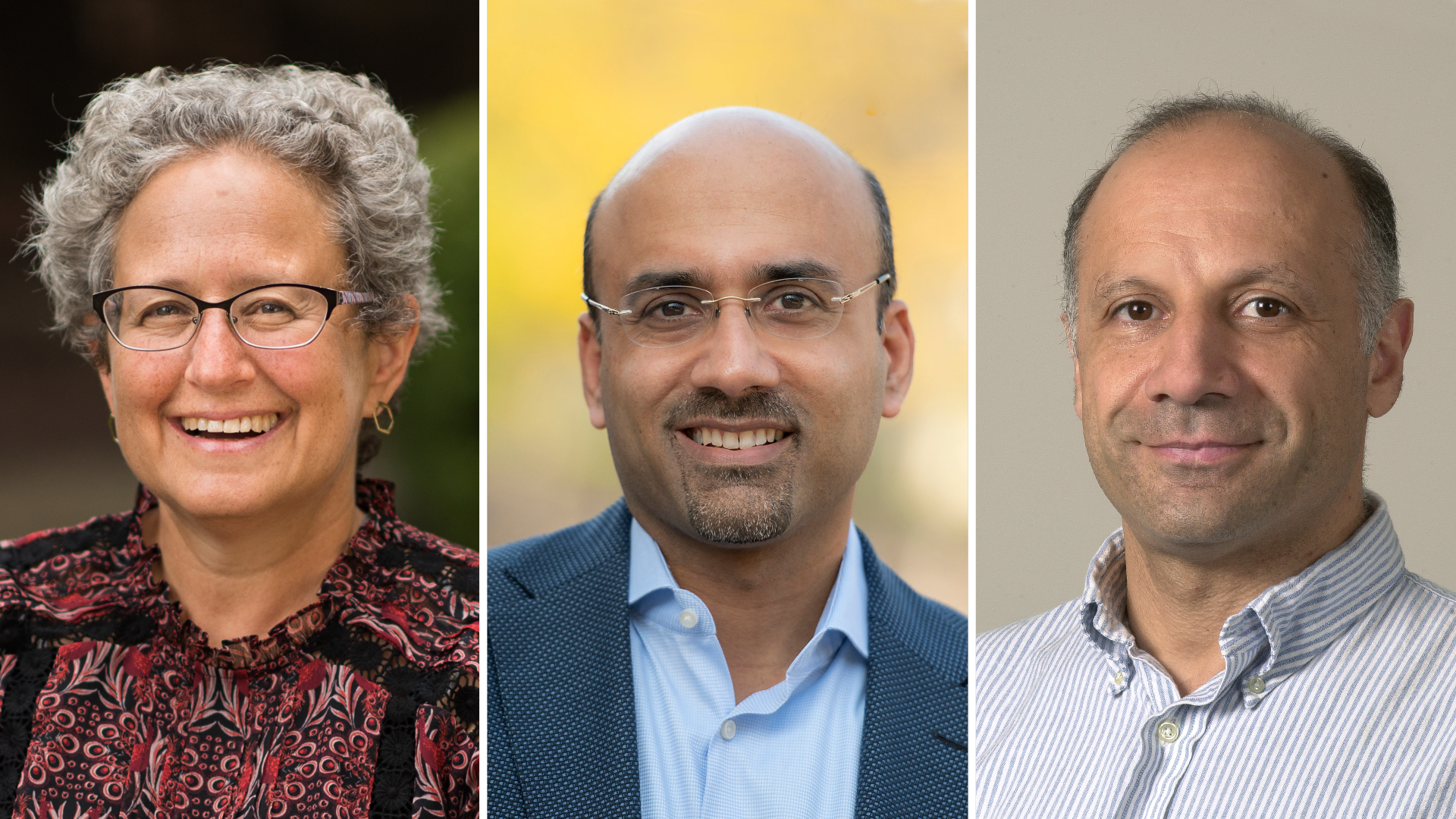 Melissa Lane, Atif Mian and Mansour Shayegan